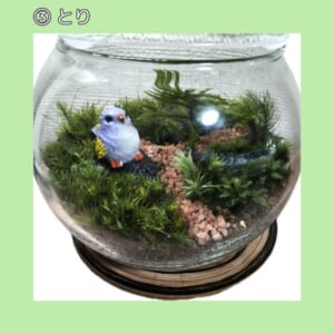 苔テラリウムワークショップ ｜ 津市久居アルスプラザ